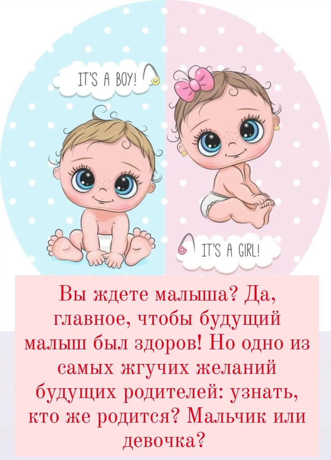 Гендер пати набор подарок праздник