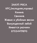 КРС(молодняк,коровы),свинина,конина