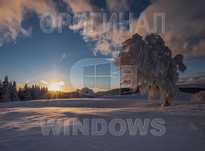 Виндос 11 | 10 лицензия плюс программа office для Виндовс