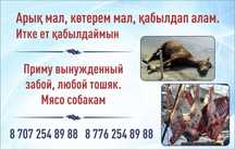 Арық мал қабылдап алам