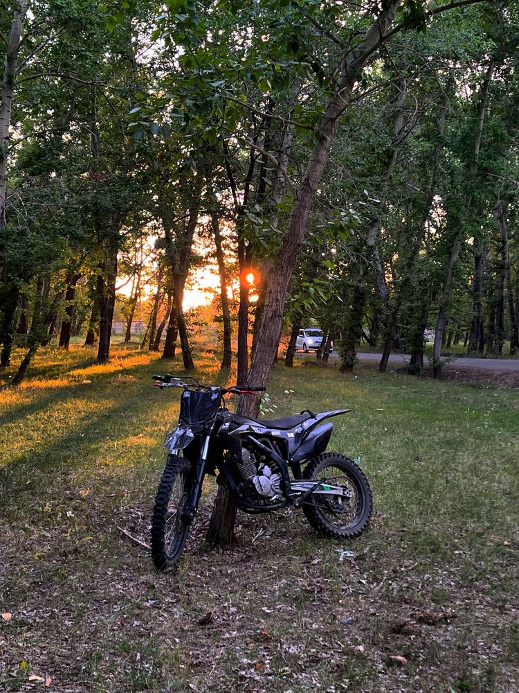 xinguizin shr 3 300cc