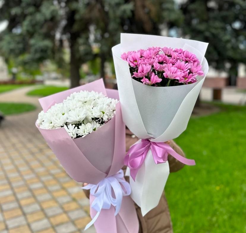 Пионы Розы Гортензии Пионовидные хризантемы