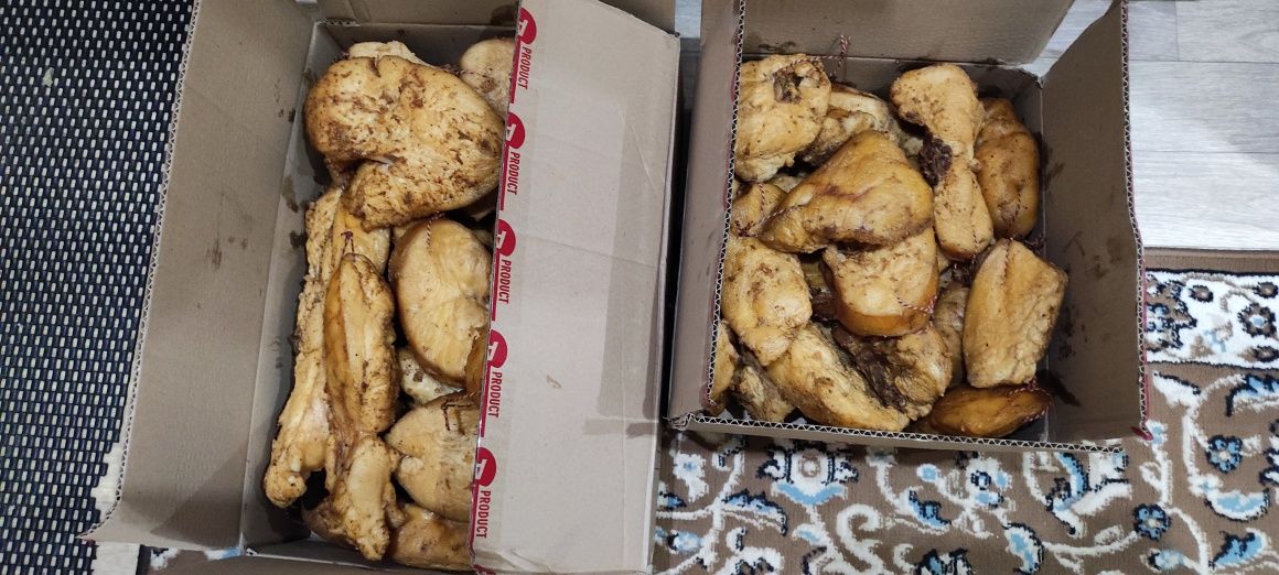 Продам капченнный курдюк свежий