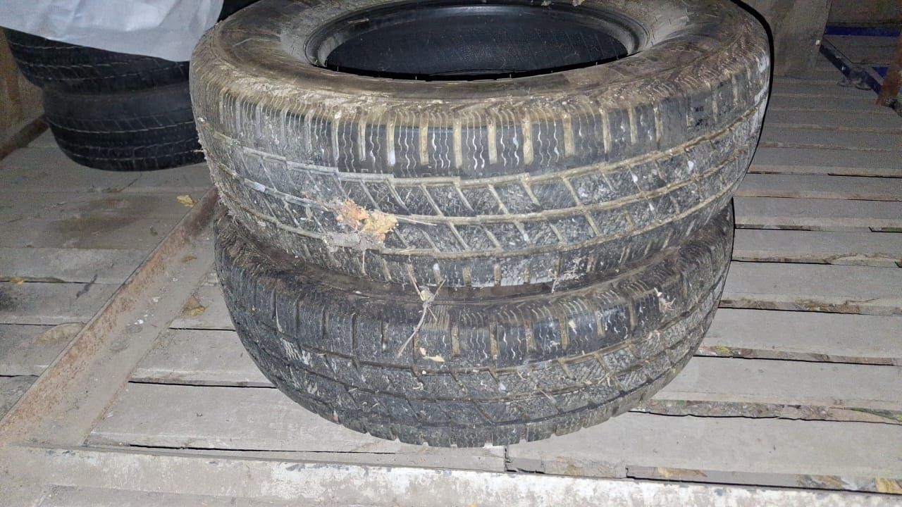 Зимние шины R 16 и S 16
