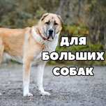 Будка для собак утепленый, домик для маленьких собак
наличии
Будка для