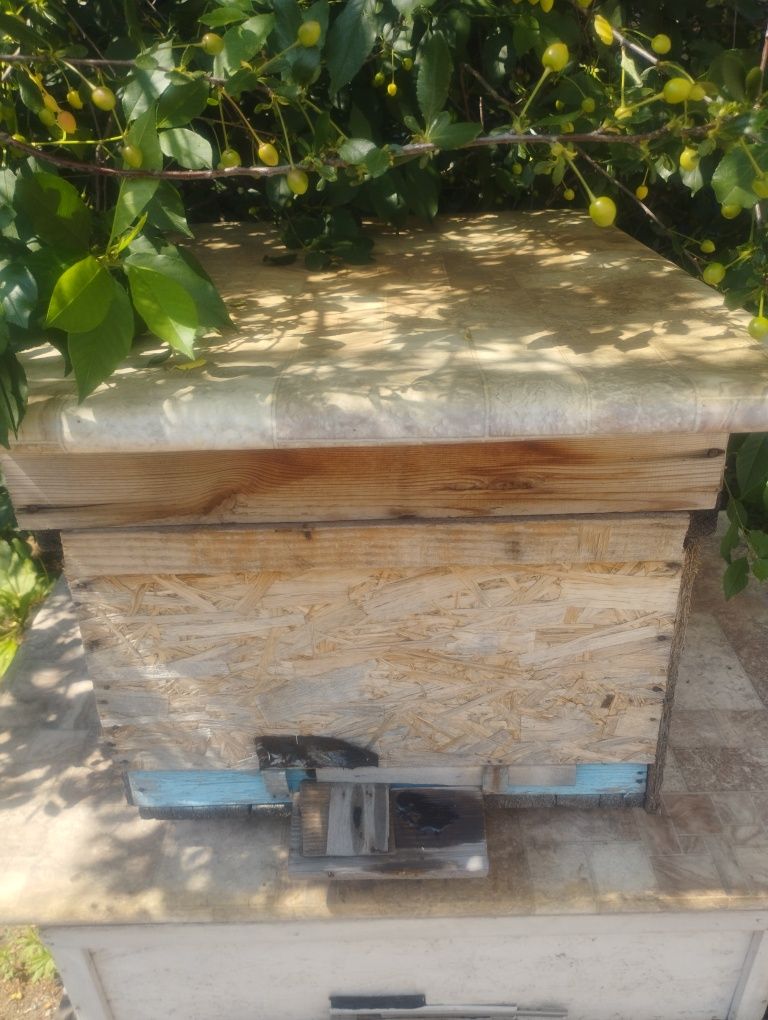 Продам 2 улья для пчел.5 и 3тыс.