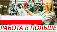 Делаем приглашение на работу в Польшу все остальные расходы за вами