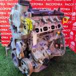Двигатель мотор ДВС Nissan QG13 Контрактный из Японии.
