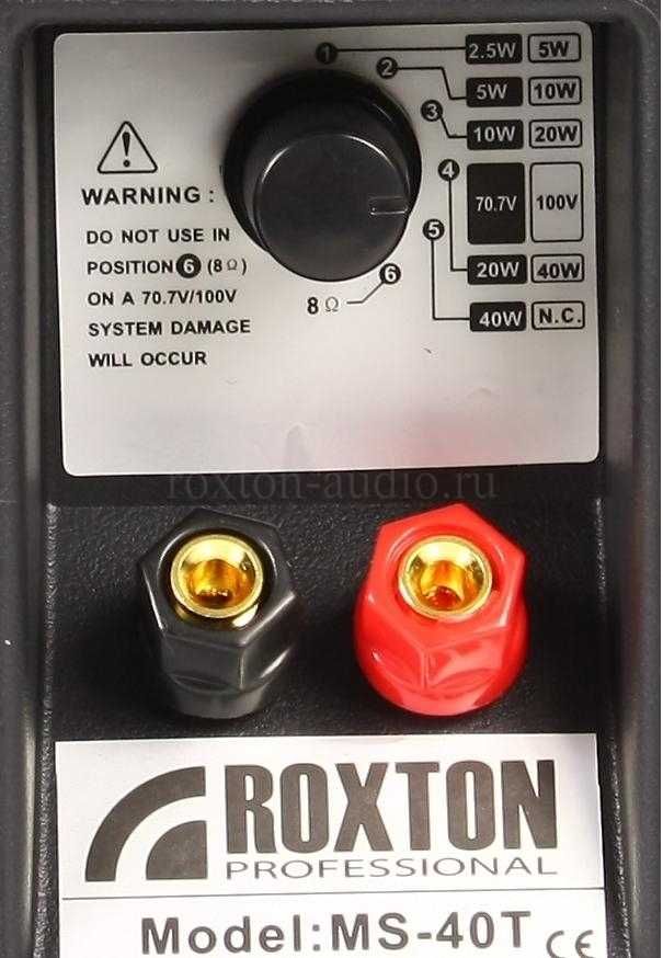 Roxton MS-40TB громкоговоритель  настенный двухполосный