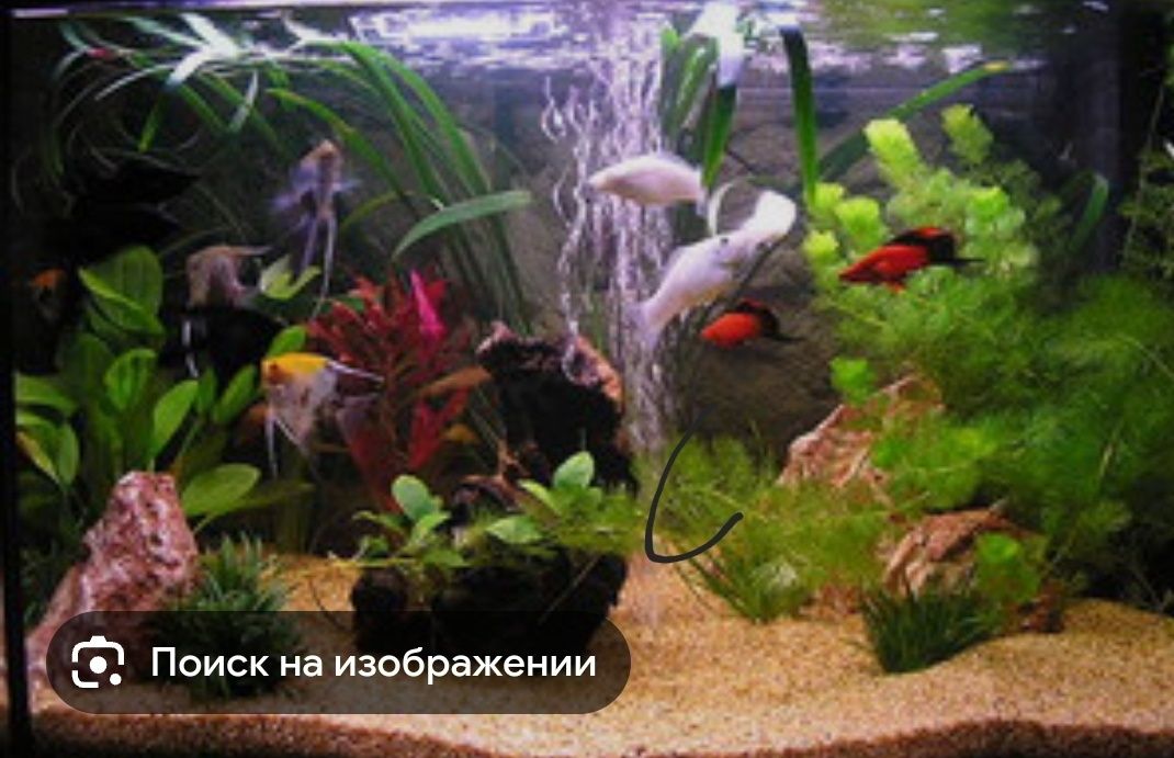 Продам аквариумы разных размеров качественные