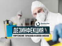 Дезинфекция уничтожение от тараканов клопов блох крыс мышей Обработка