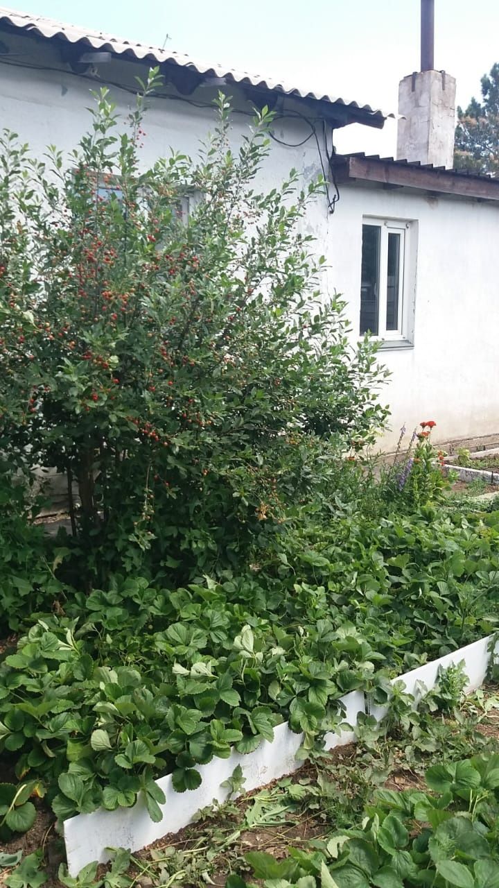 Обмен дома с центральными комуникациями на две квартиры.