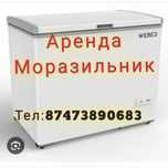 Моразильник жалга