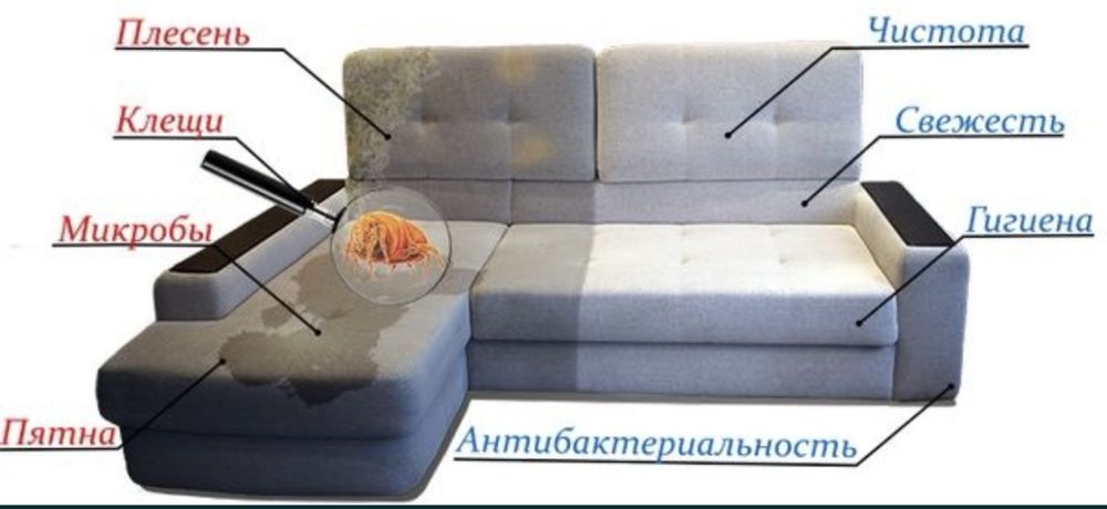 Выездная химчистка диванов,матрасов,стульев
