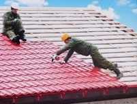 Крыша жабу қызметі