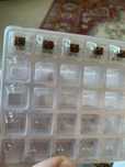 Свитчи gateron по штучно