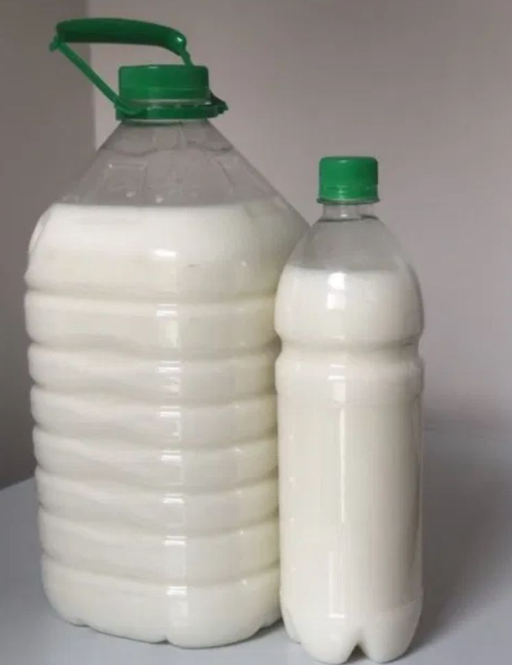 Продам кумыс катонский