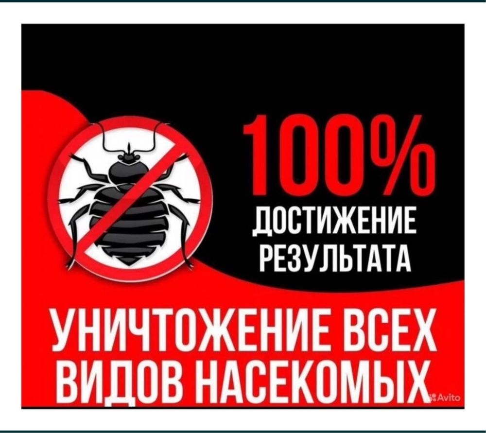 Обработка клопов, термитов,  Актау. Кандала,термит,таракан улау