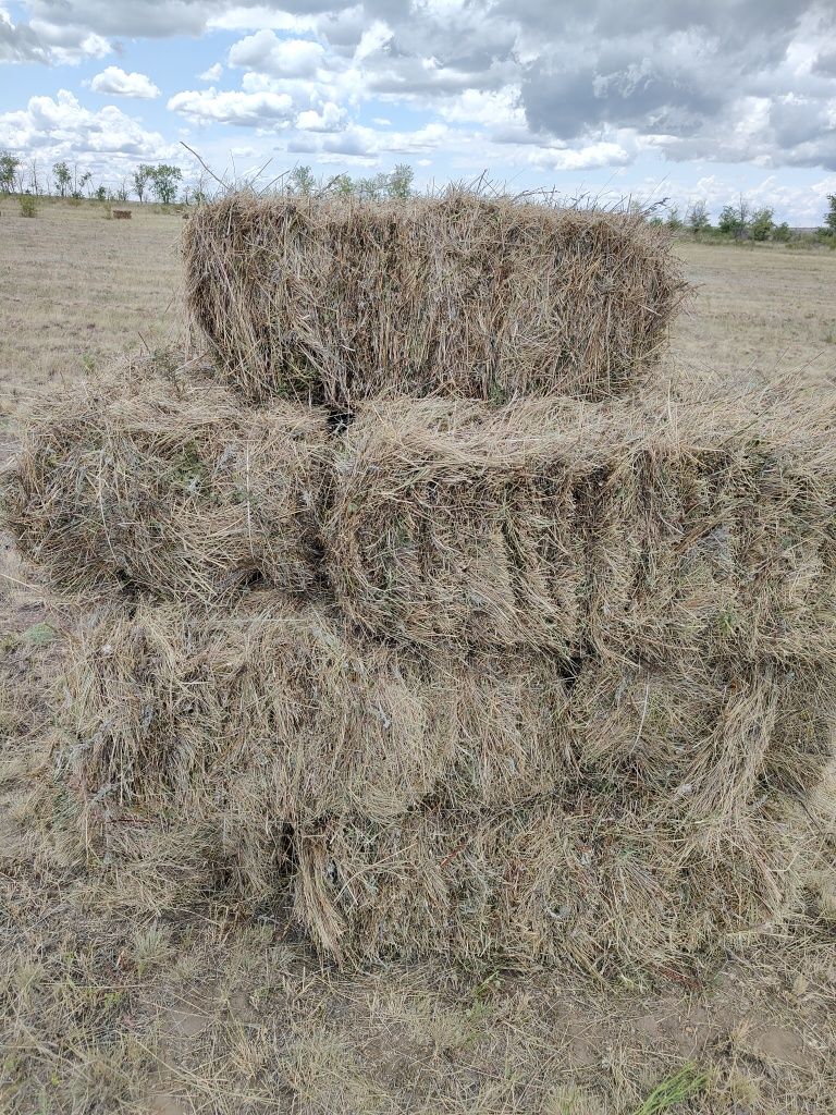 Тюки Сена разнотравие