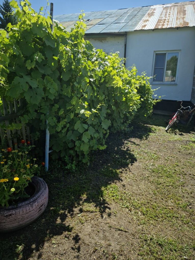 Продам 0,5 особняка в районе ГРП