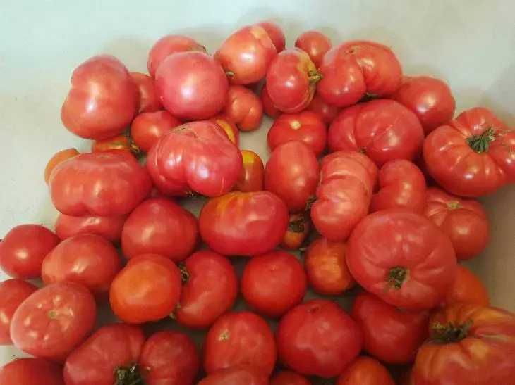 Продам домашние помидоры 1300