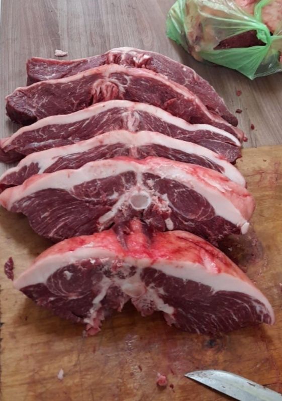 Продам согым жылкы Тай байтал донен
