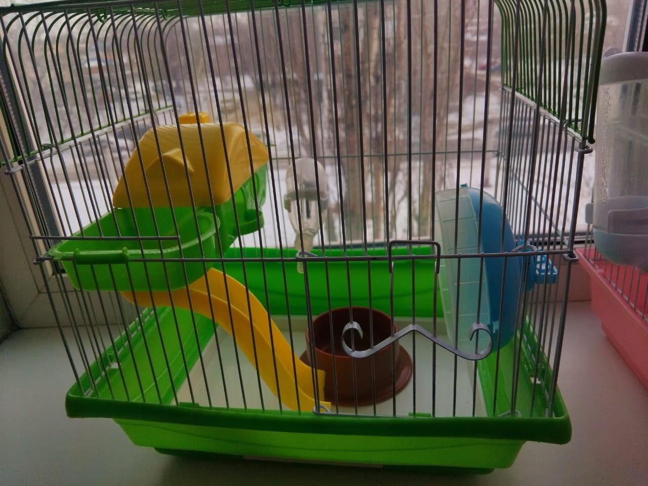 Клетки для грызунов