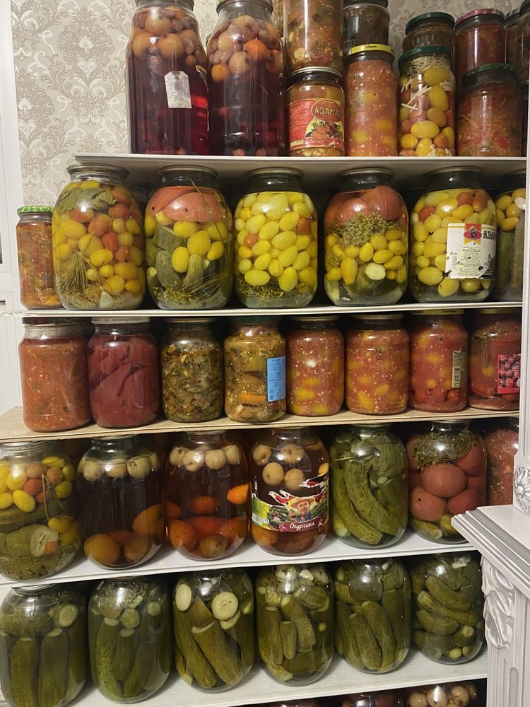 Солонина