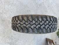 Cordiant off-road