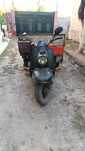 Муравей срочно 250