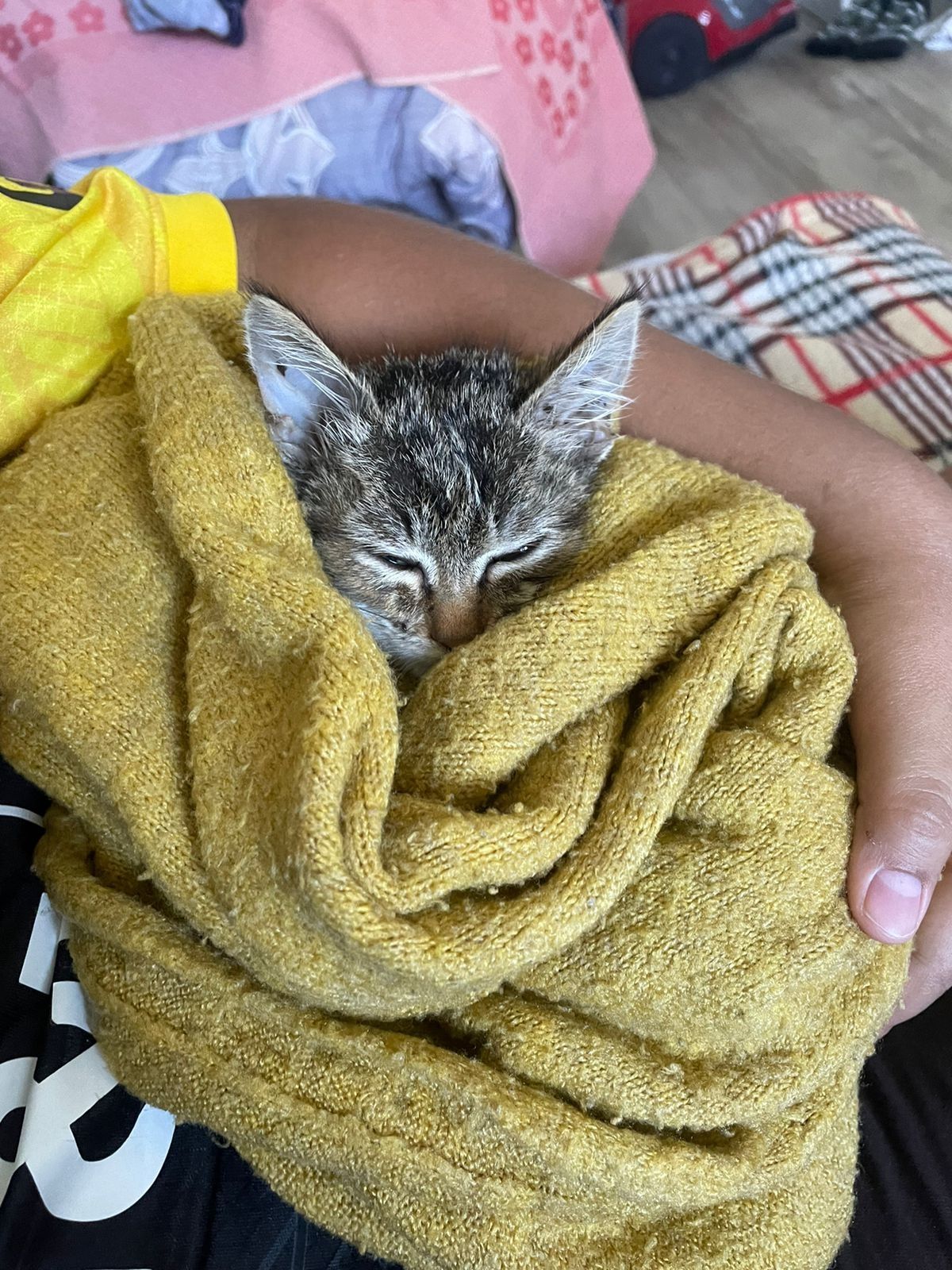 Спяший котик, любит играть в игры,любит поесть