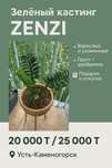 Замиокулькас зензи 'ZENZI' — бестселлер среди комнатных растений!