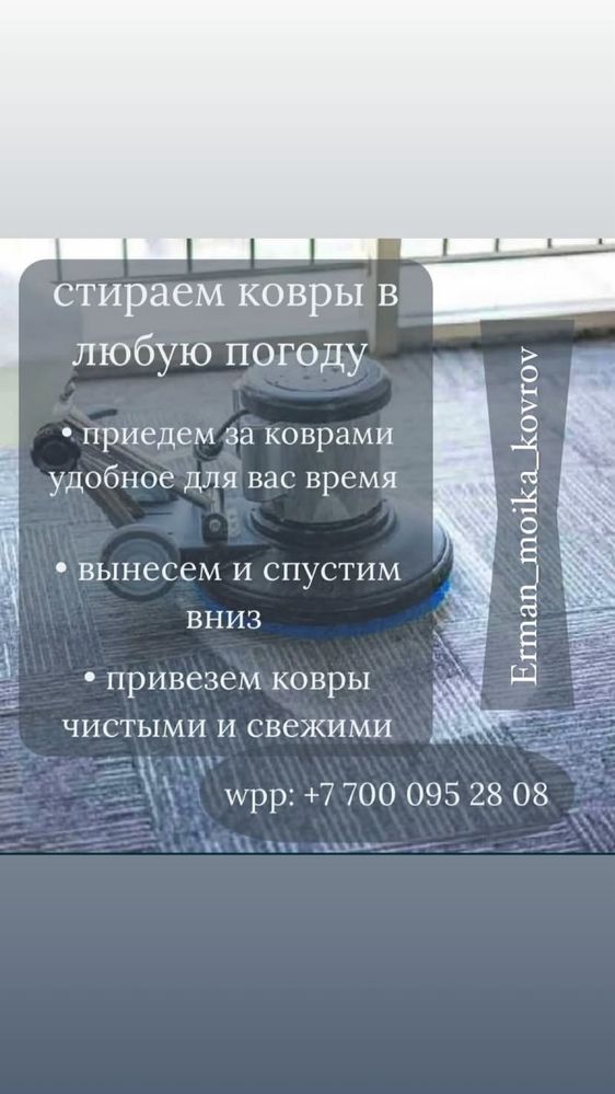 Химчистка ковров с бесплатной доставкой