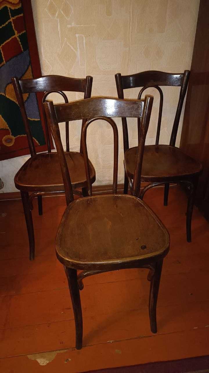 Стулья Thonet 3 штуки ТОРГ!