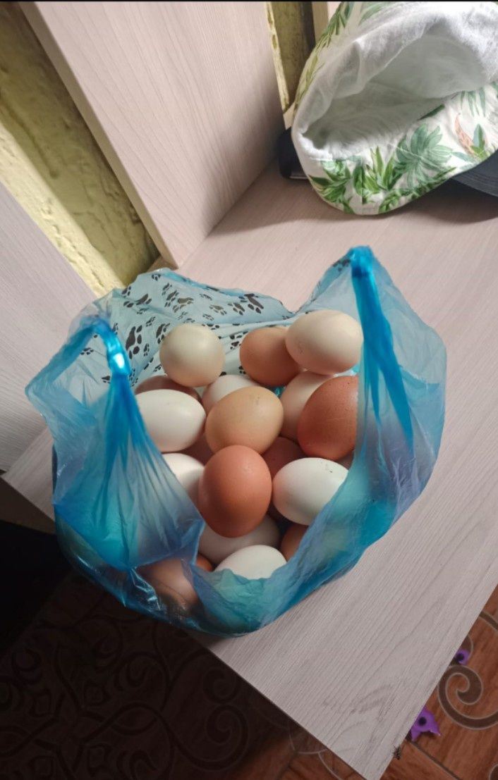 Жұмыртқа сатылады қарасу