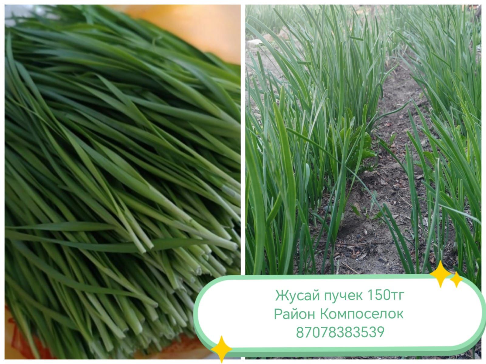 Жусай(район Компоселок]