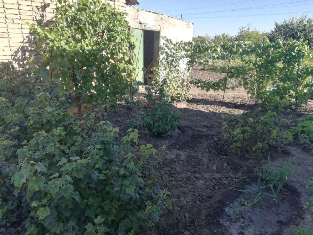 Срочно продам  дачу в районе между Аэропортом и опытным полем!