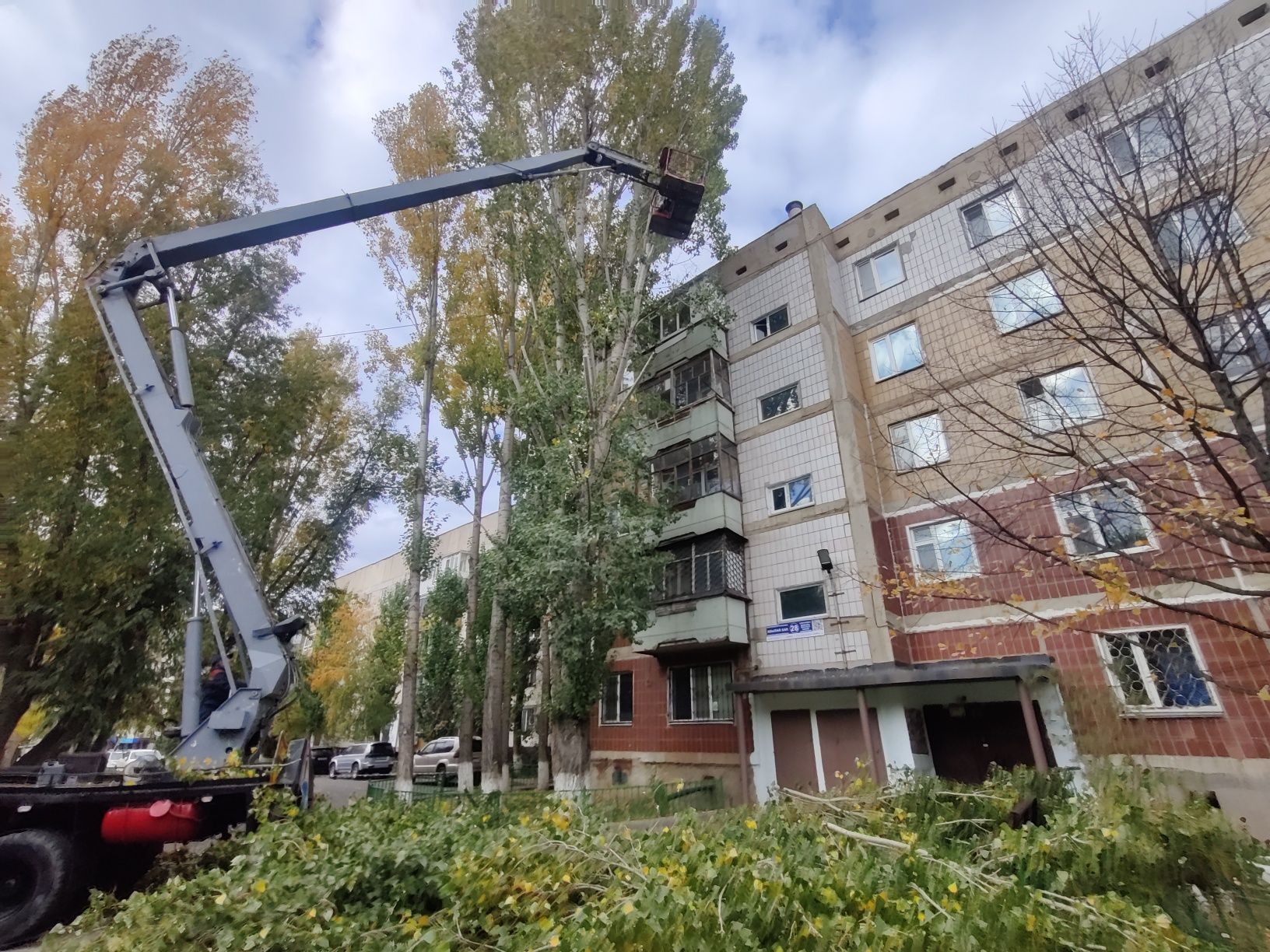 Спил деревьев и кустарников, спилить дерево и кустарники