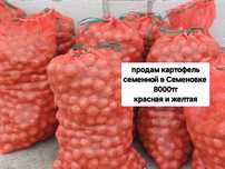 Продам семенную картошку