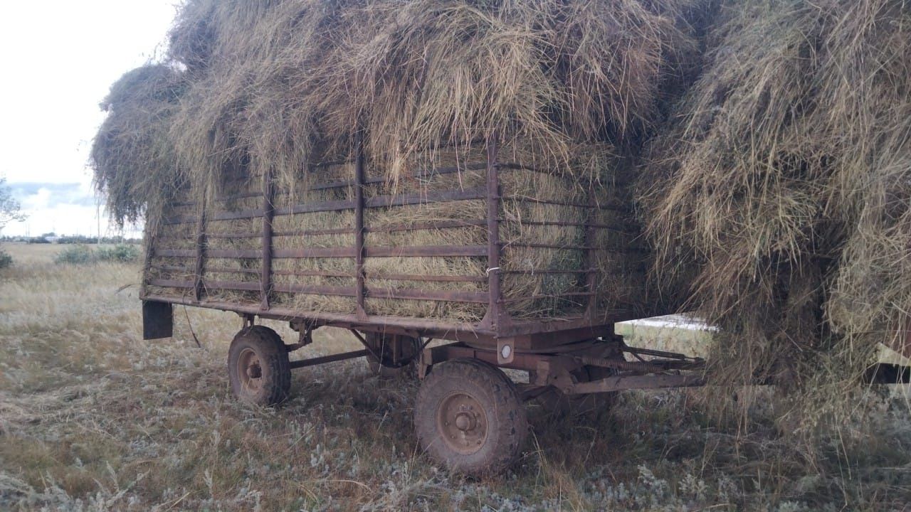 Трактор МТЗ80, Т40
