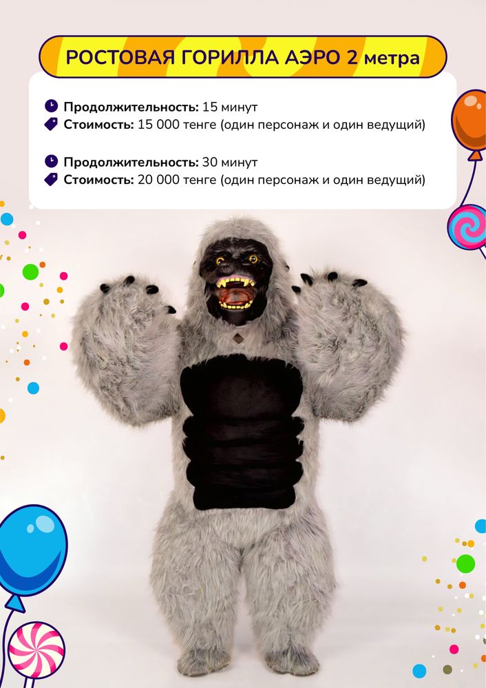 Выезд аниматоров YoYo Party