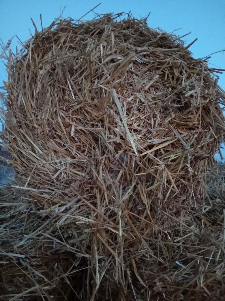 Продам солому в тюках