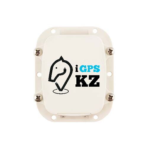 GPS на лошадь в рассрочку