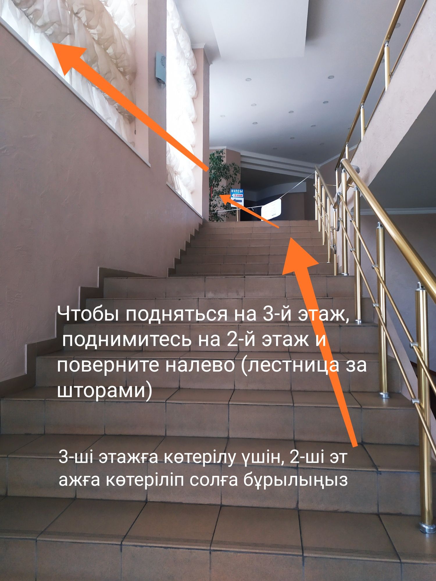 Ағылшын тілі курс Шымкент Орыс тілі Шымкент IT курсы Шымкент
