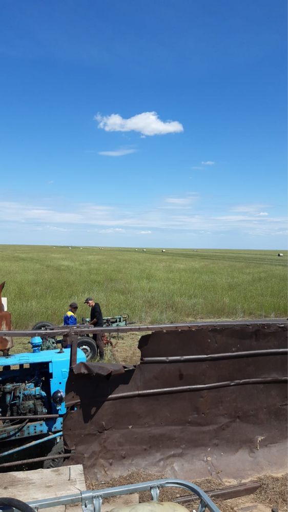 Сено в рулонах житняк разнотравье