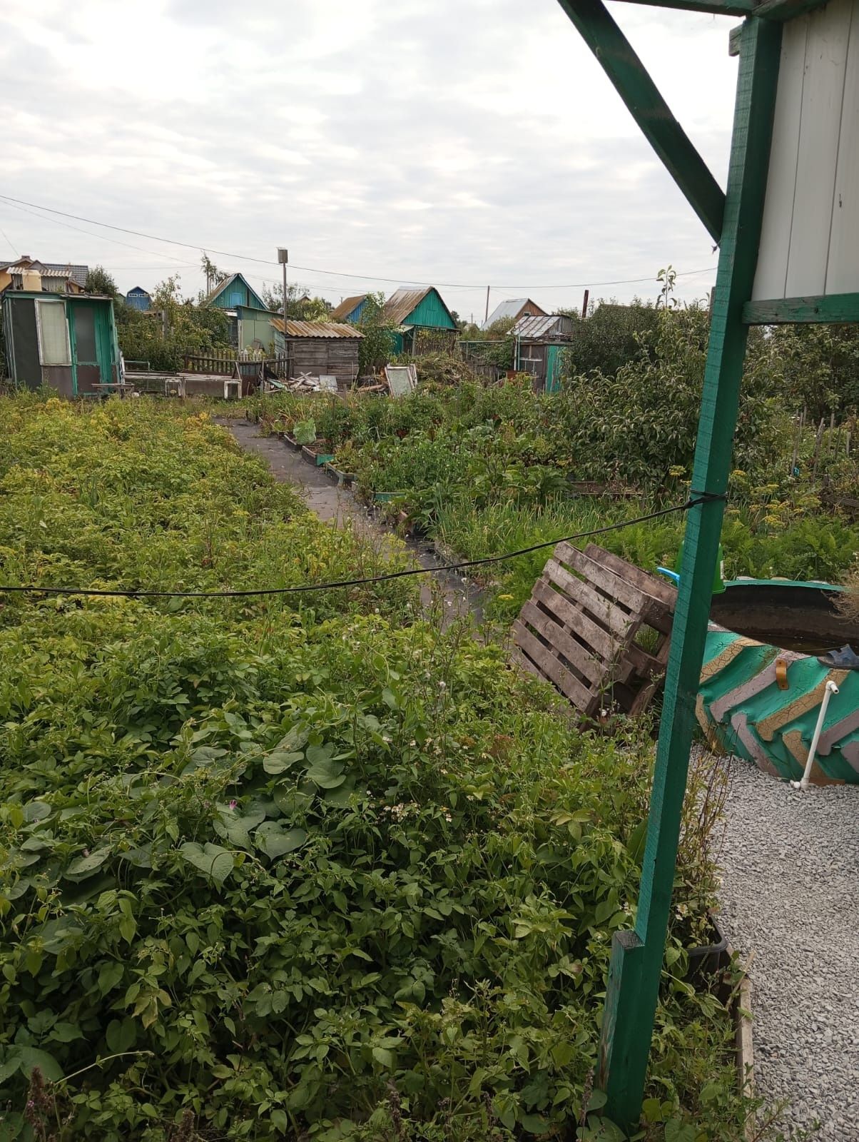 Срочно!!!Продам дачу в новопавловке