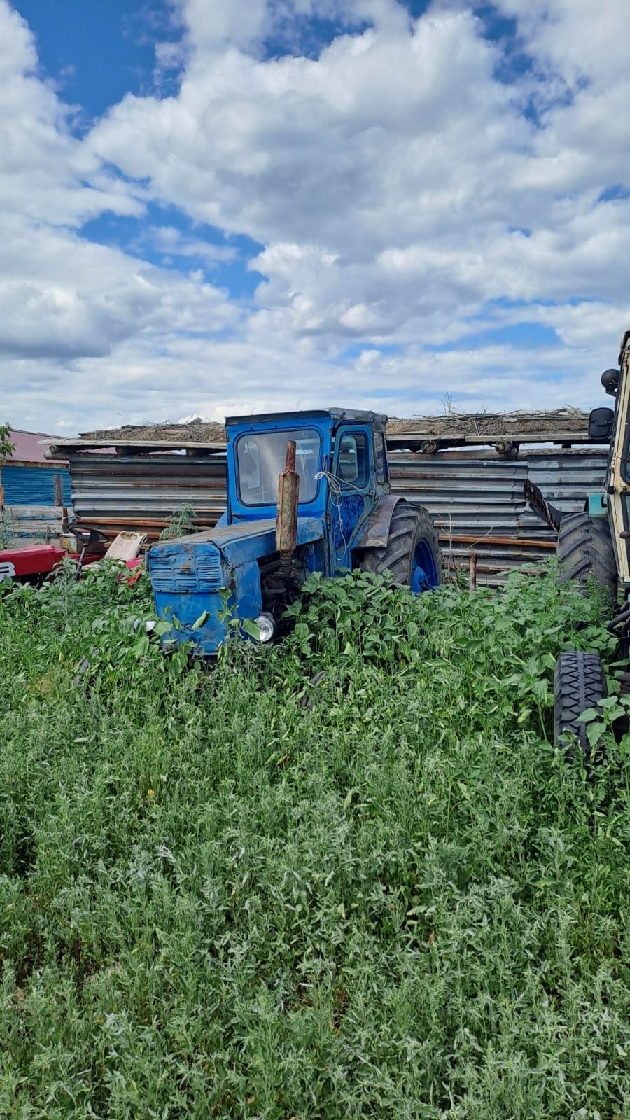 Трактор продам или обмен