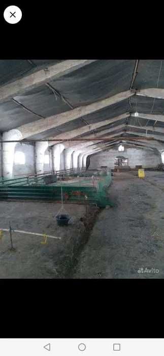 ЖИВОТНОВОДЧЕСКАЯ ФЕРМА. продаем базу. возможна рассрочка
