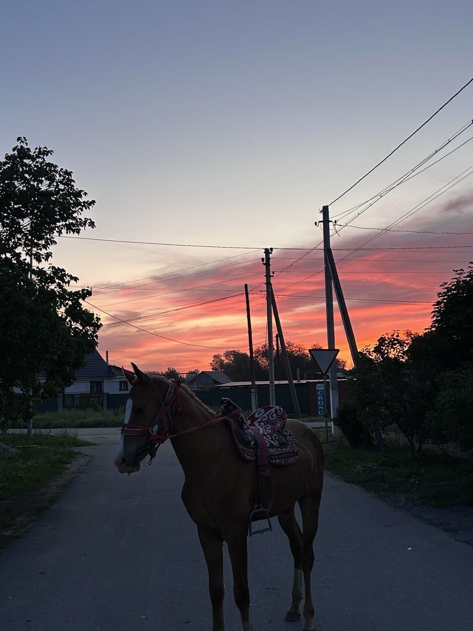 Тай          ...