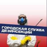 Дезинсекция против тараканов клопов , мышей